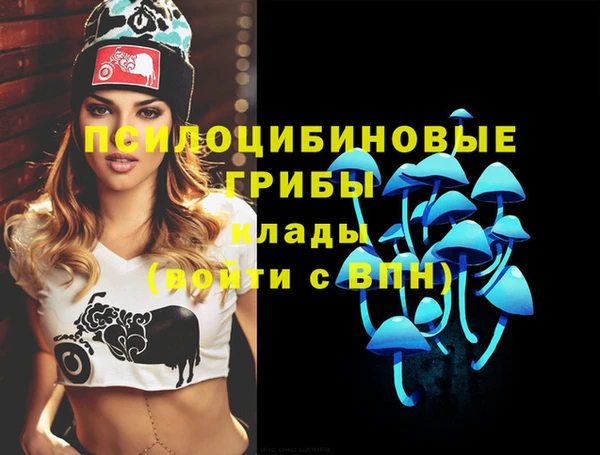 а пвп мука Абаза