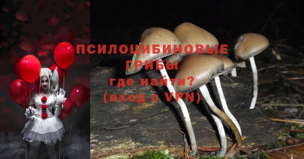 а пвп мука Абаза