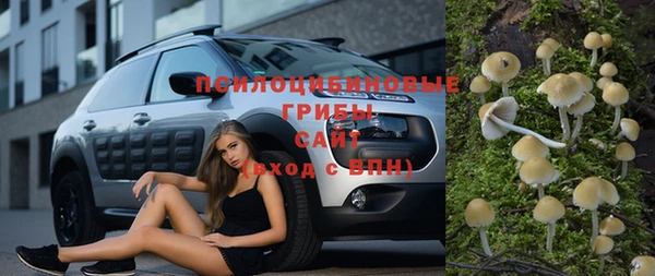 гидра Абинск